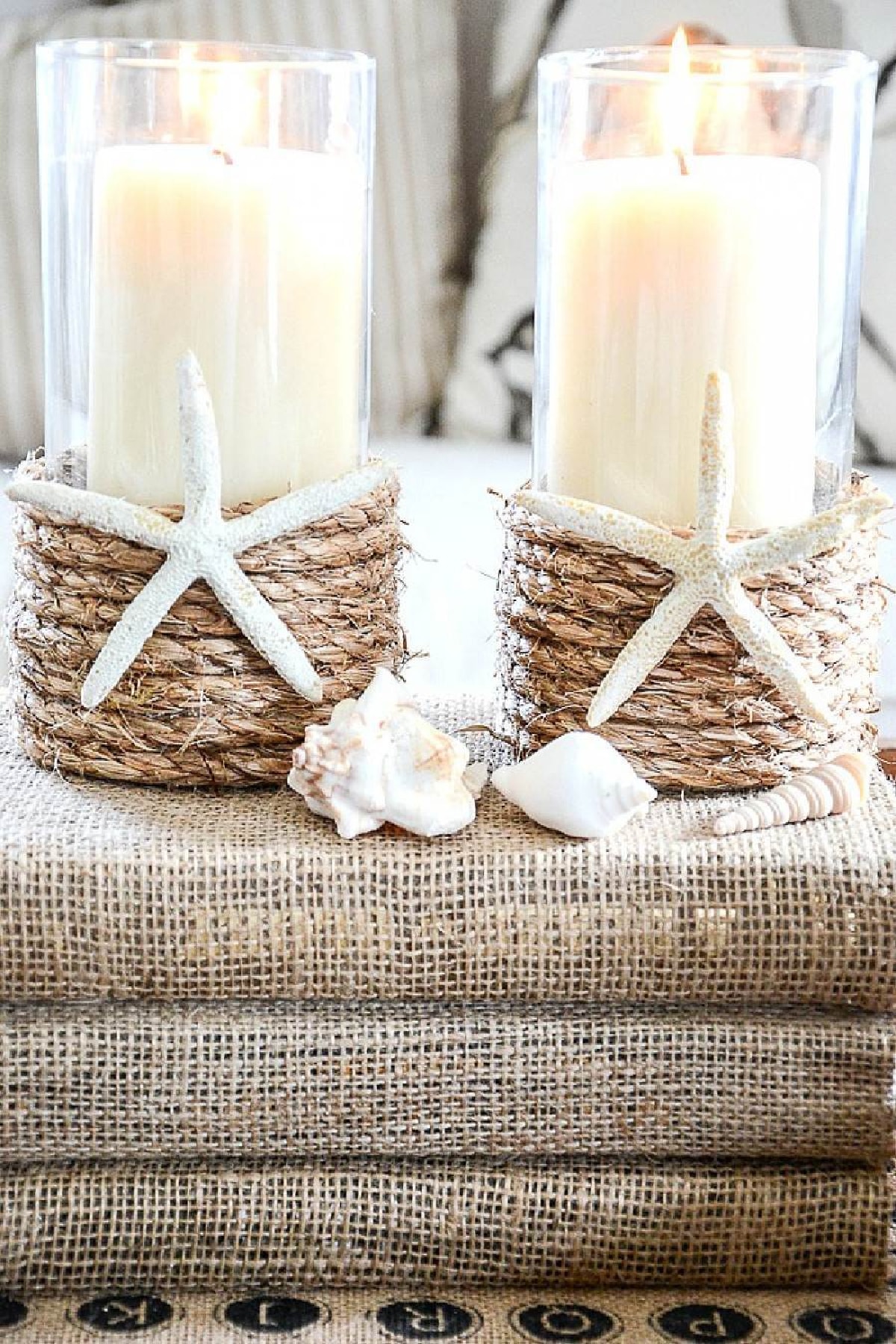 starfish hurricane lamps