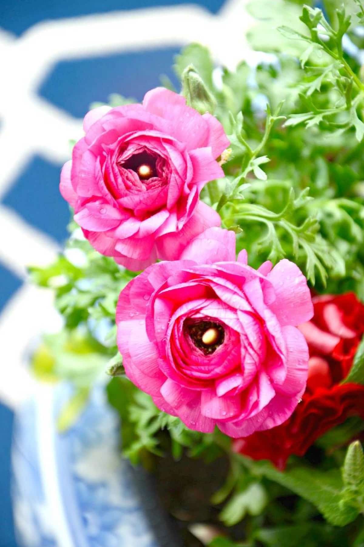 pink flowers