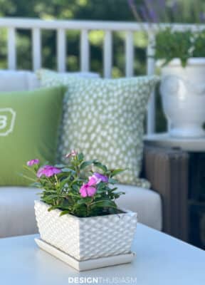 green and white patio decor