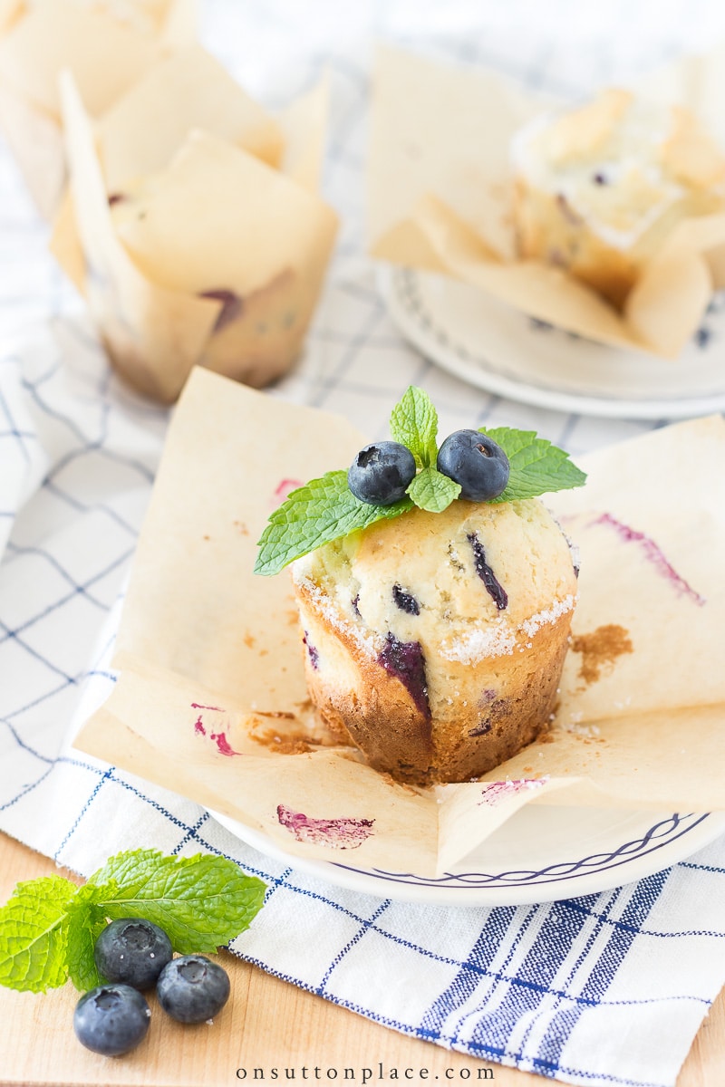 6-24 blueberry muffins recipe