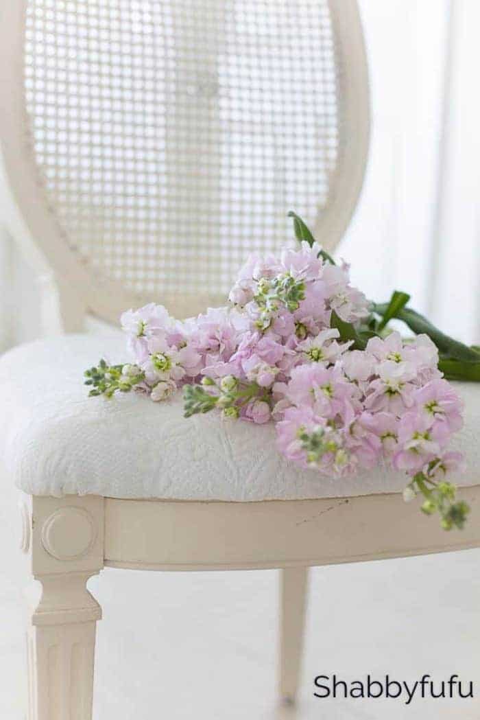 Shabbyfufu | English Country Cottage Decorating Ideas