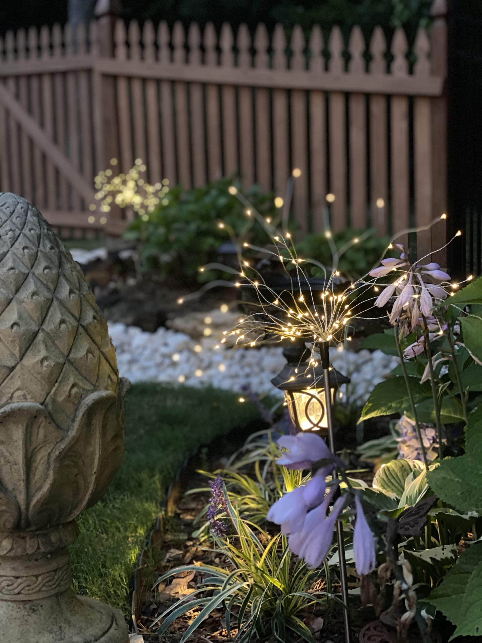 Lighting up the Backyard