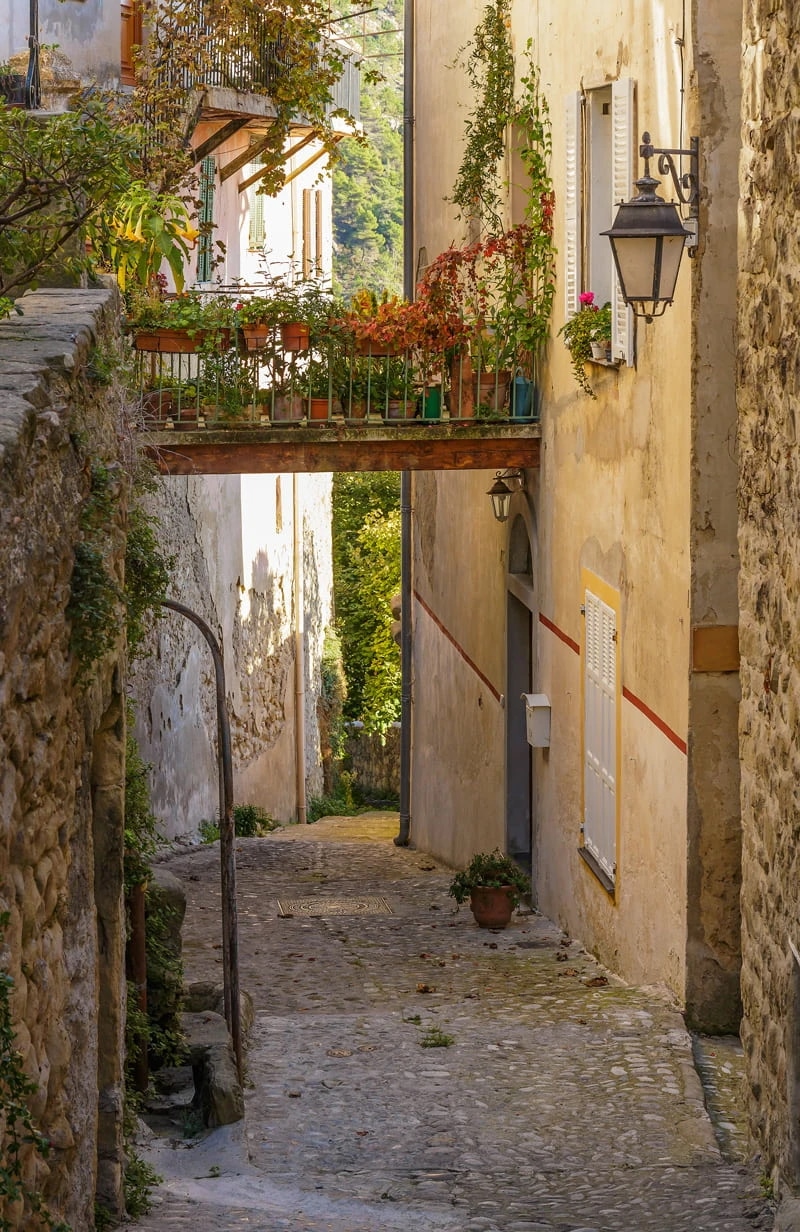 French Country Fridays 338: Savoring the Charm of French Inspired Decor