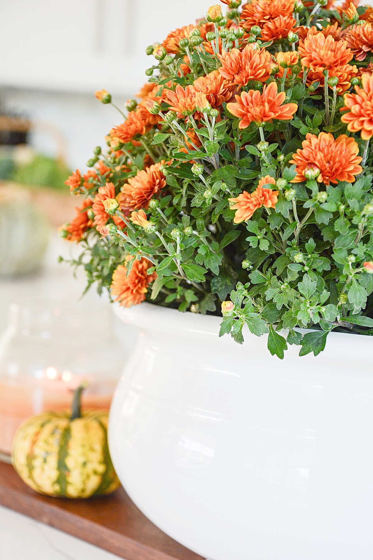Caring For Mums- StoneGable