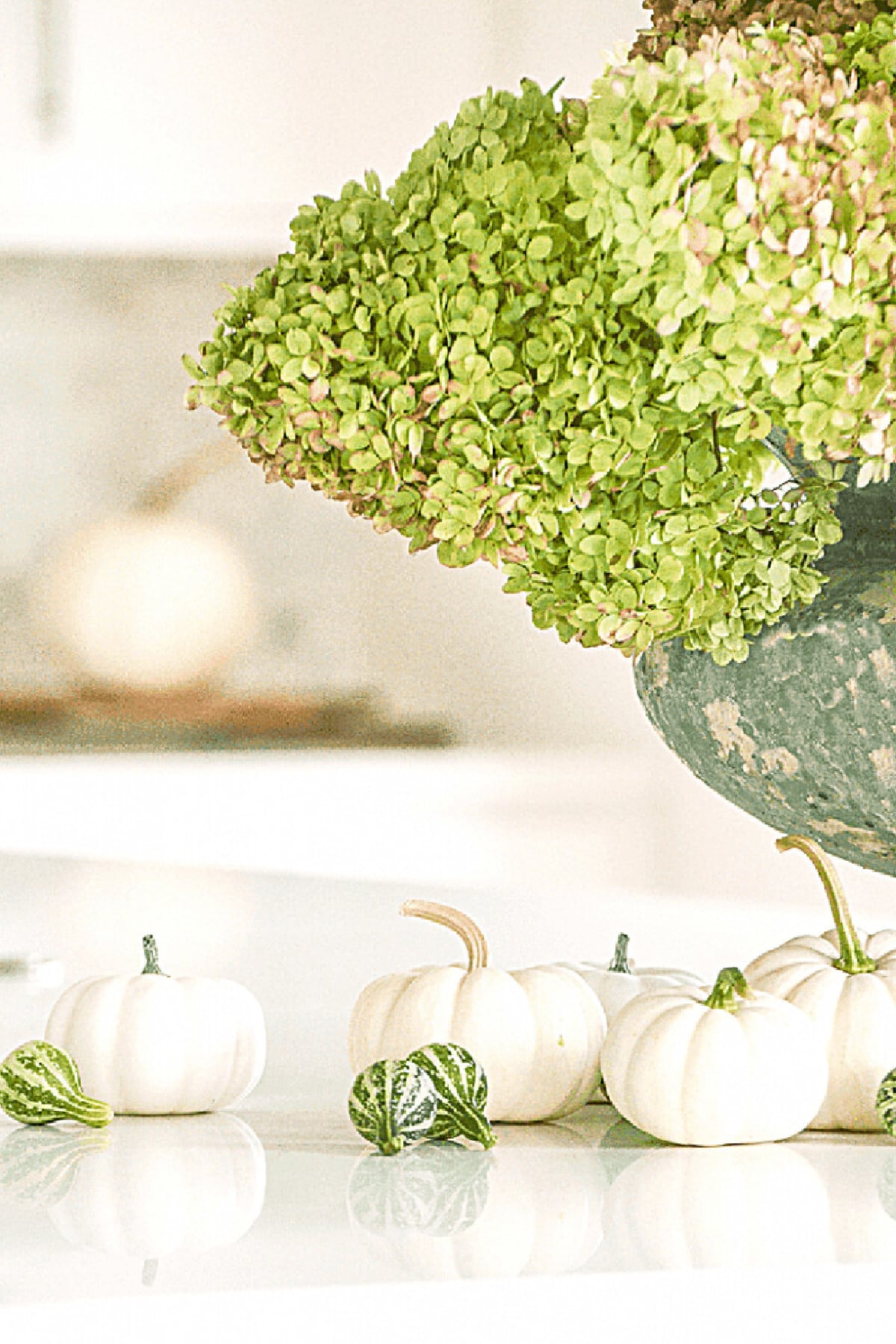 Pumpkins Fresh- StoneGable