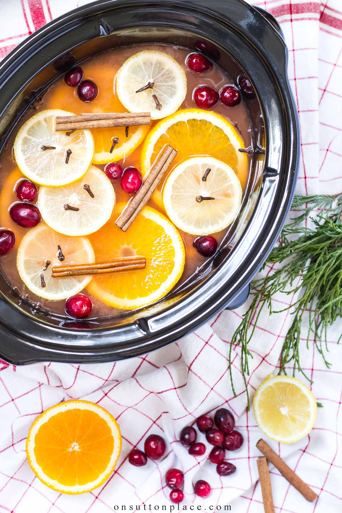 homemade wassail in slow cooker hss