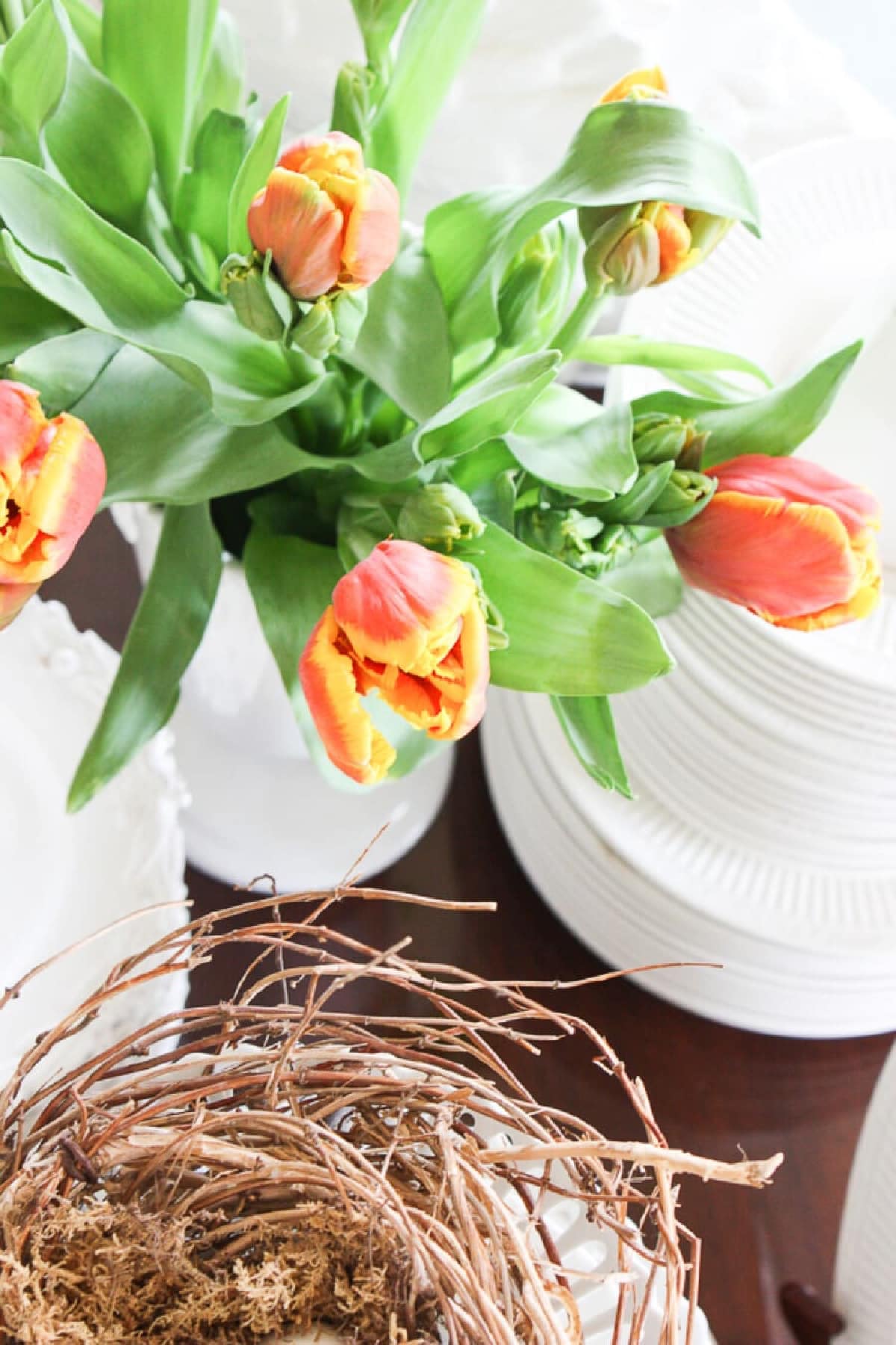 HSS- 6 Things To Do For Spring Now