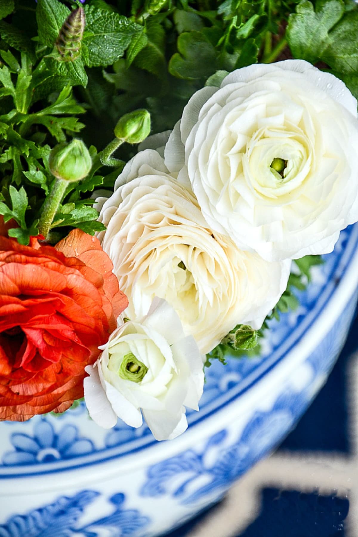 Container Gardens