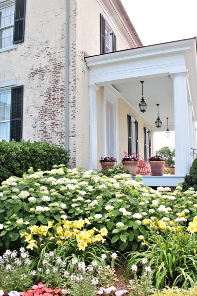 Summer Gardening P. Allen Smith