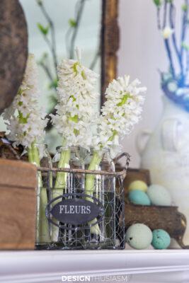 spring mantel hyacinths