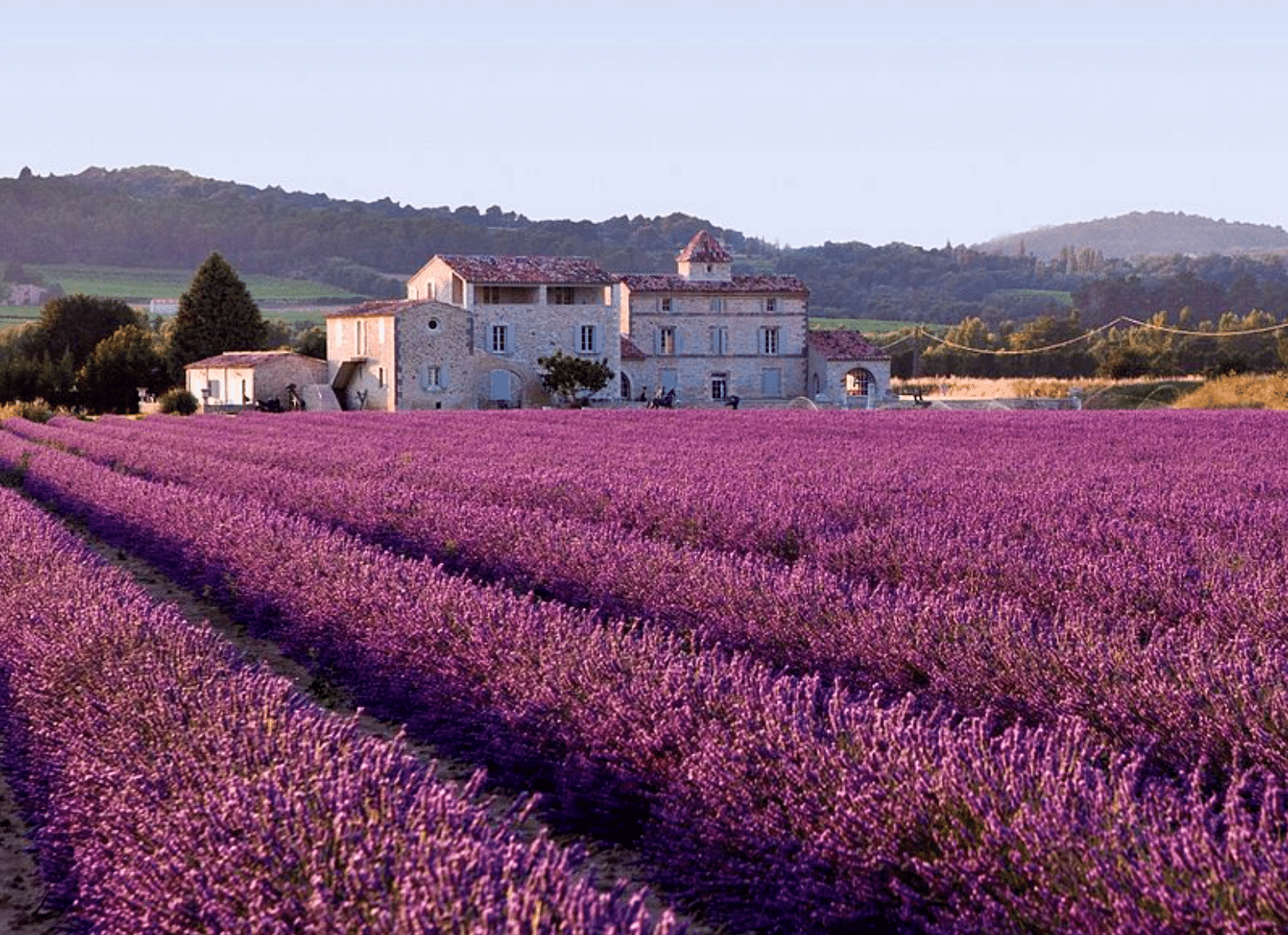 Things to Do in Provence