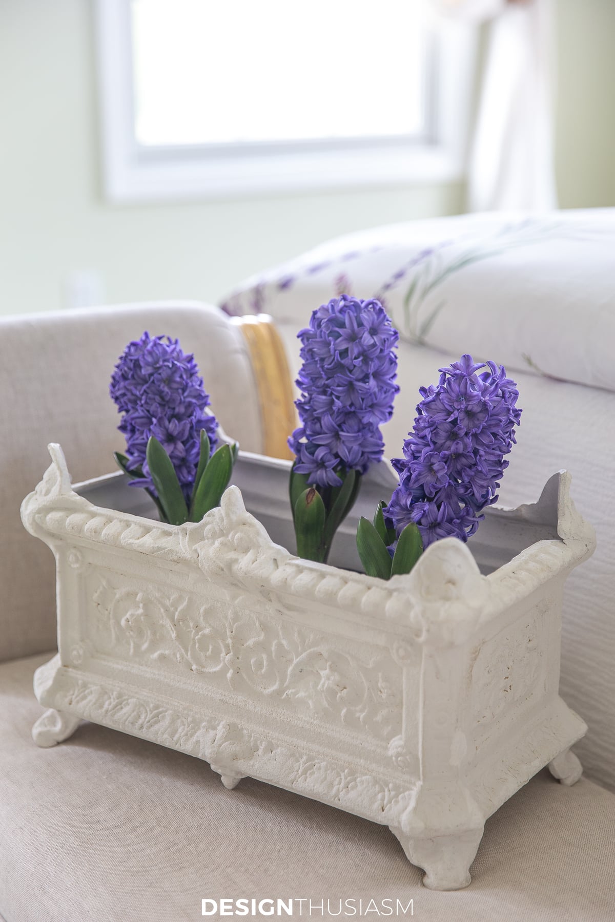 purple hyacinths in vintage french planter