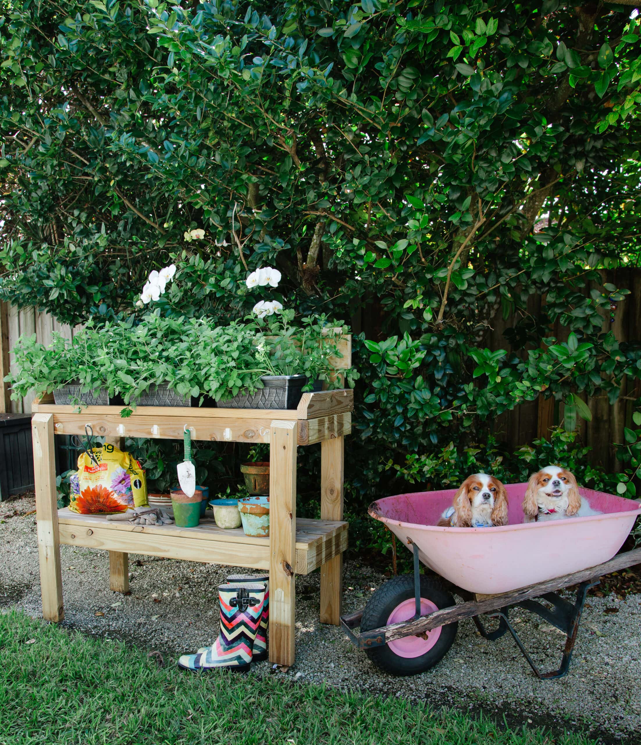 Shabbyfufu | How To Buil d A Useful Rolling Potting Bench