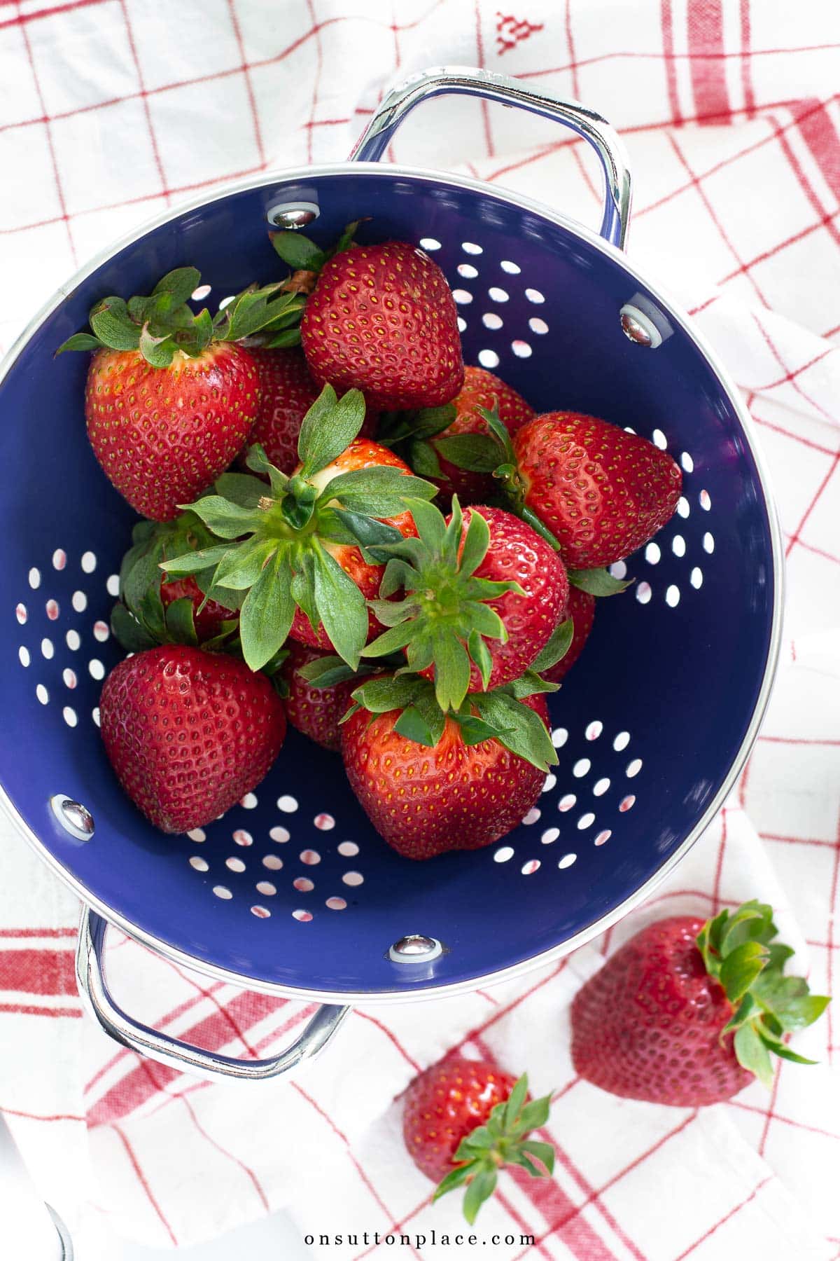 fresh strawberries in blue colander