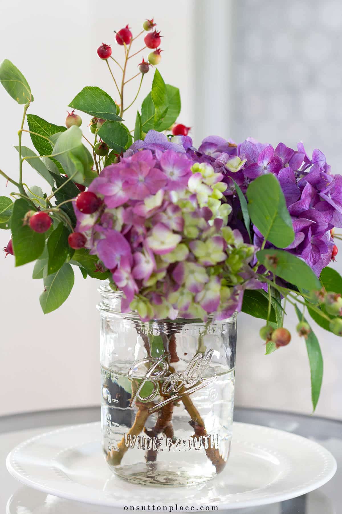 jar of endless summer hydrangeas