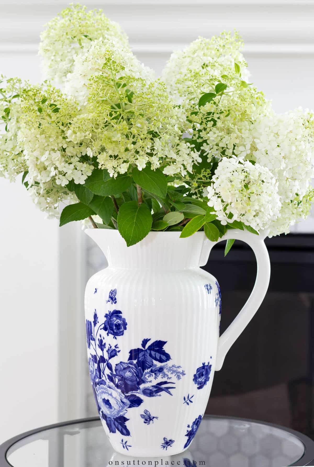 limelight hydrangeas in blue and white pitcher