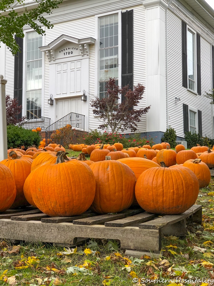 Fall Color in Cape Cod