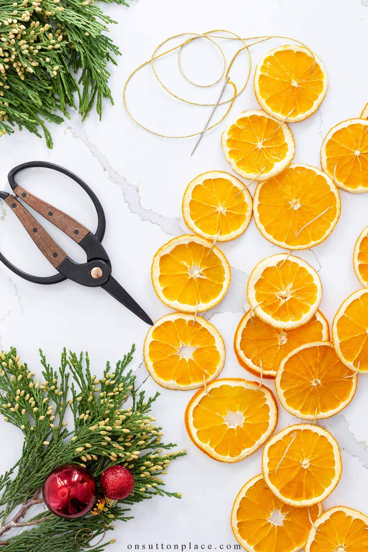 garland on twine with diy dried oranges
