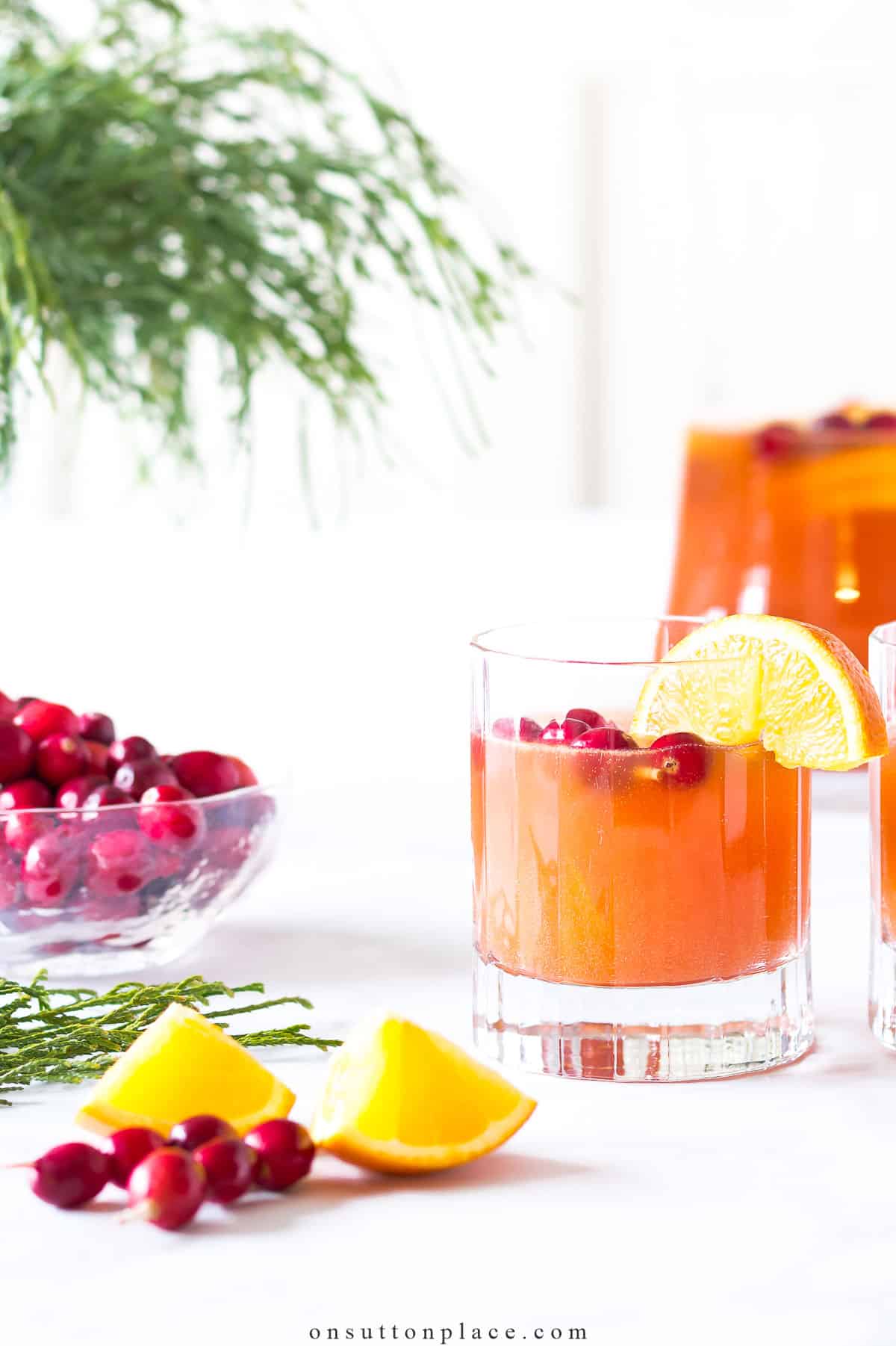 holiday recipe collection cranberry mocktail