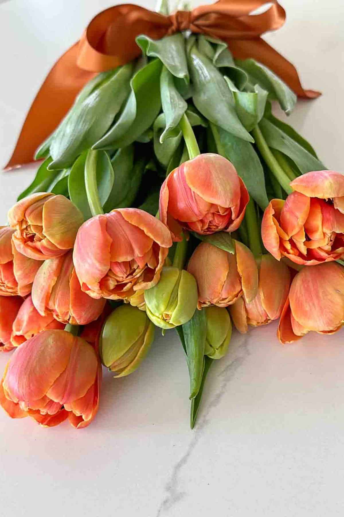 CARING FOR CUT TULIPS