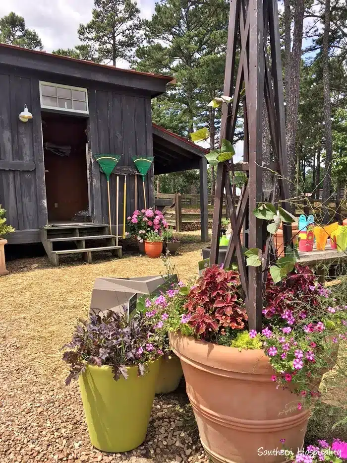 Moss Mountain Garden