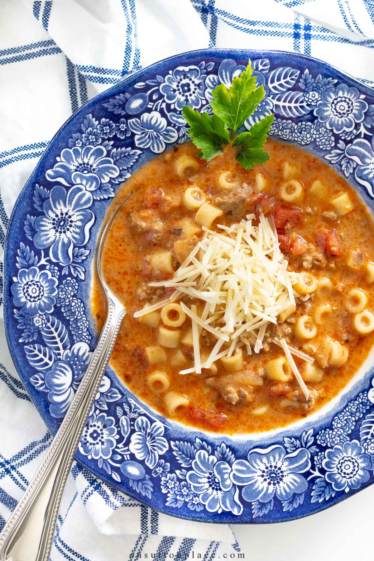 spaghetti soup recipe in bowl garnished with parmesan cheese
