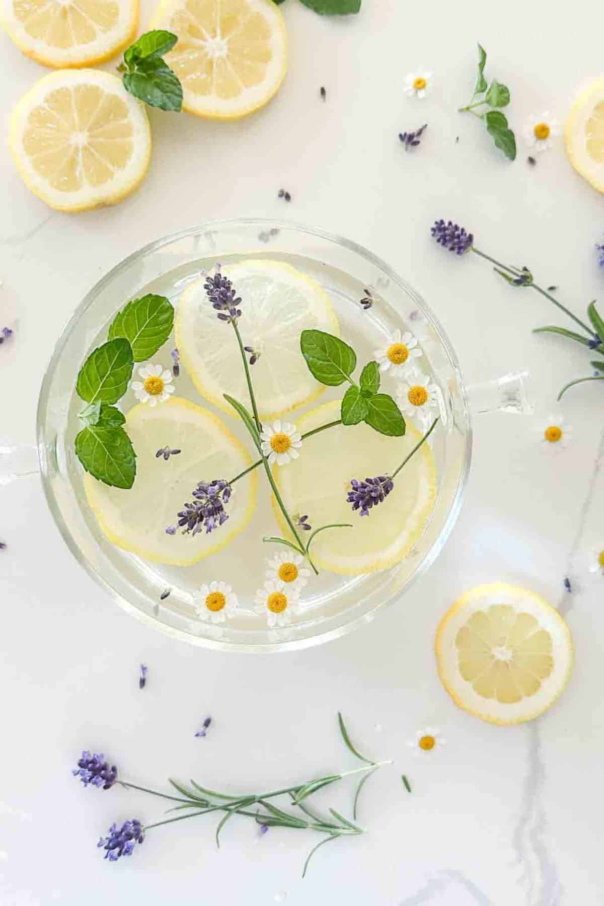 HSS 450- Summer Simmer Pot