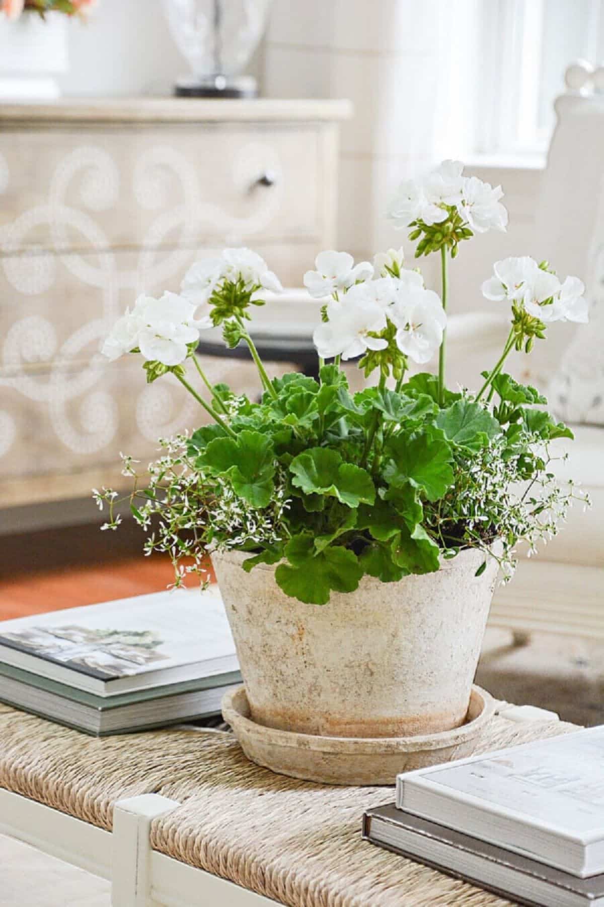 HSS 451- 12 Summer Decorating Ideas