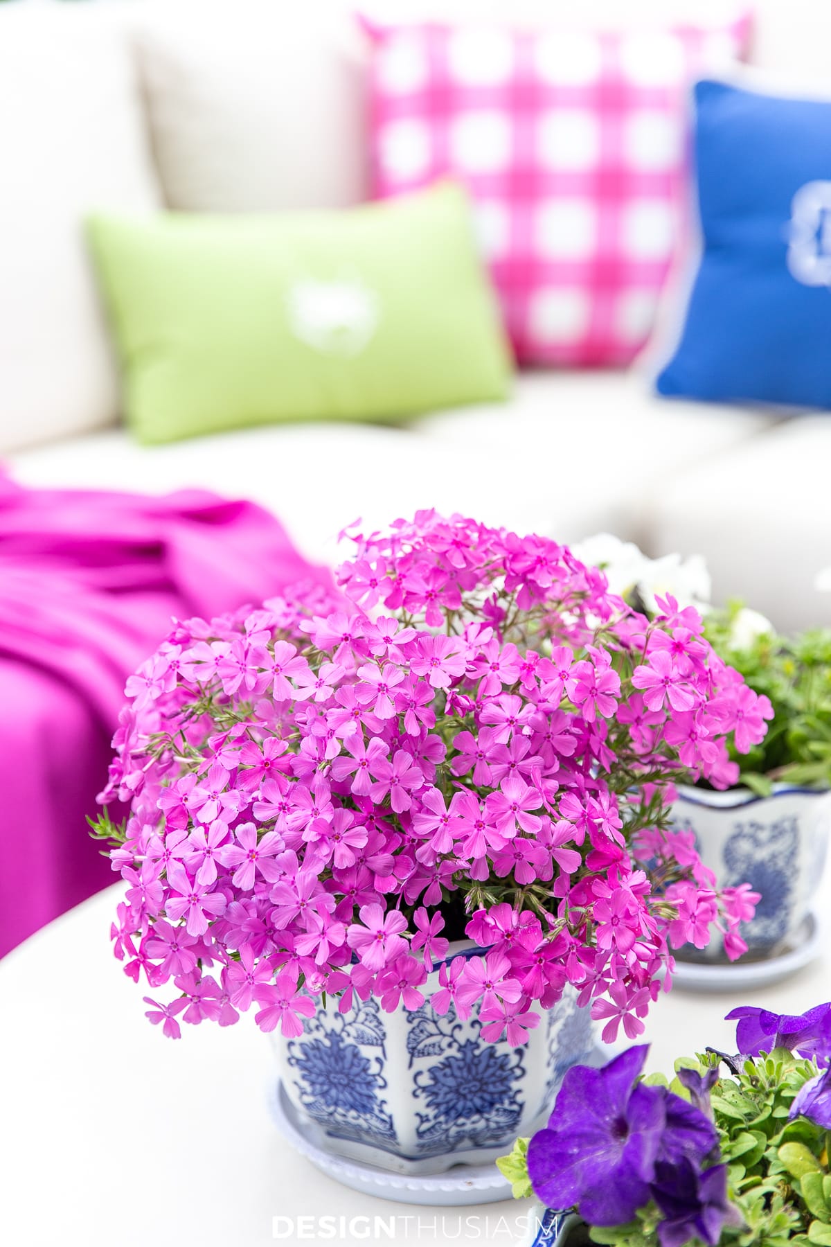Updating the Patio with Vibrant Summer Color