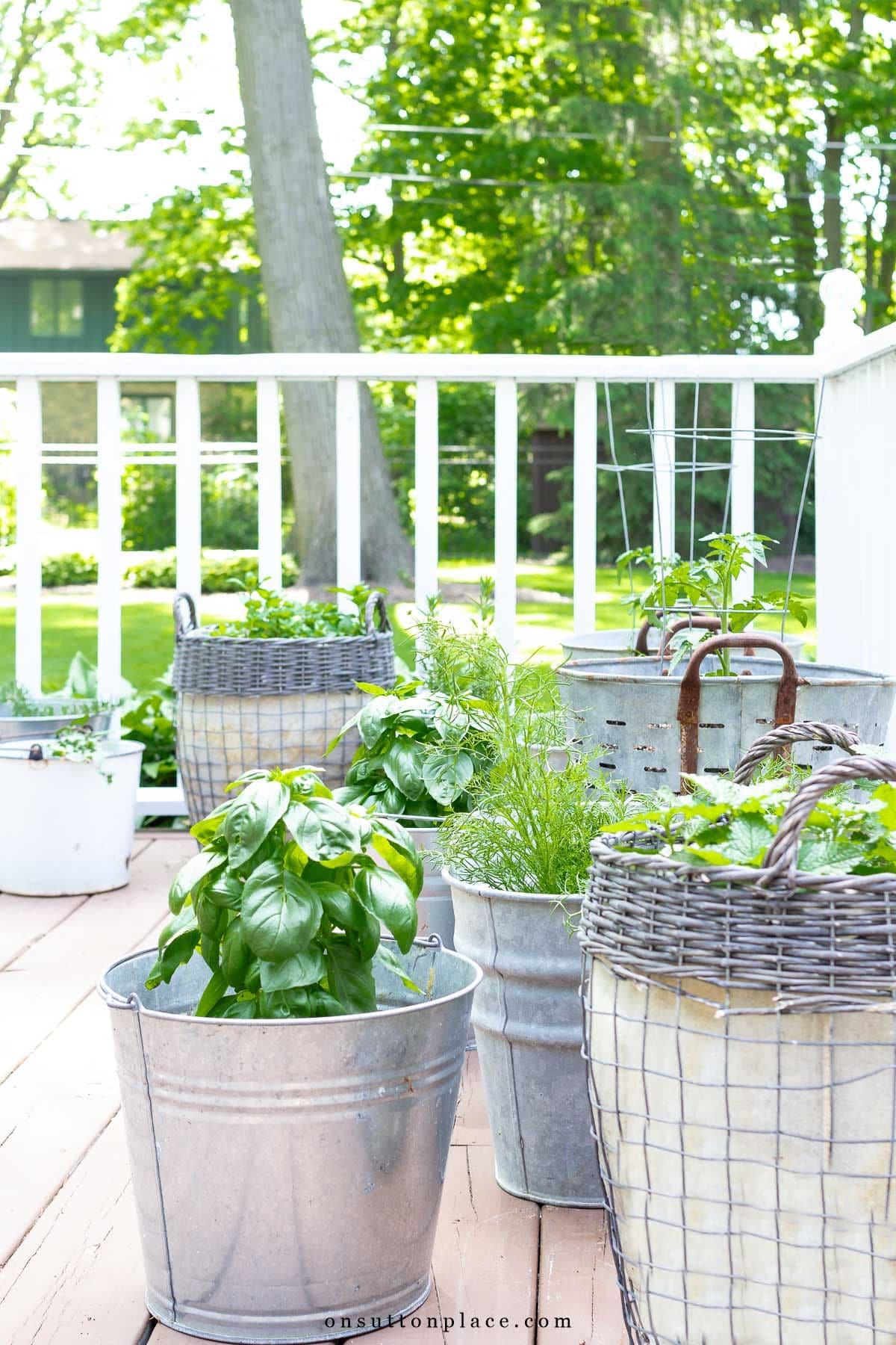 creative outdoor herb garden on deck 2024