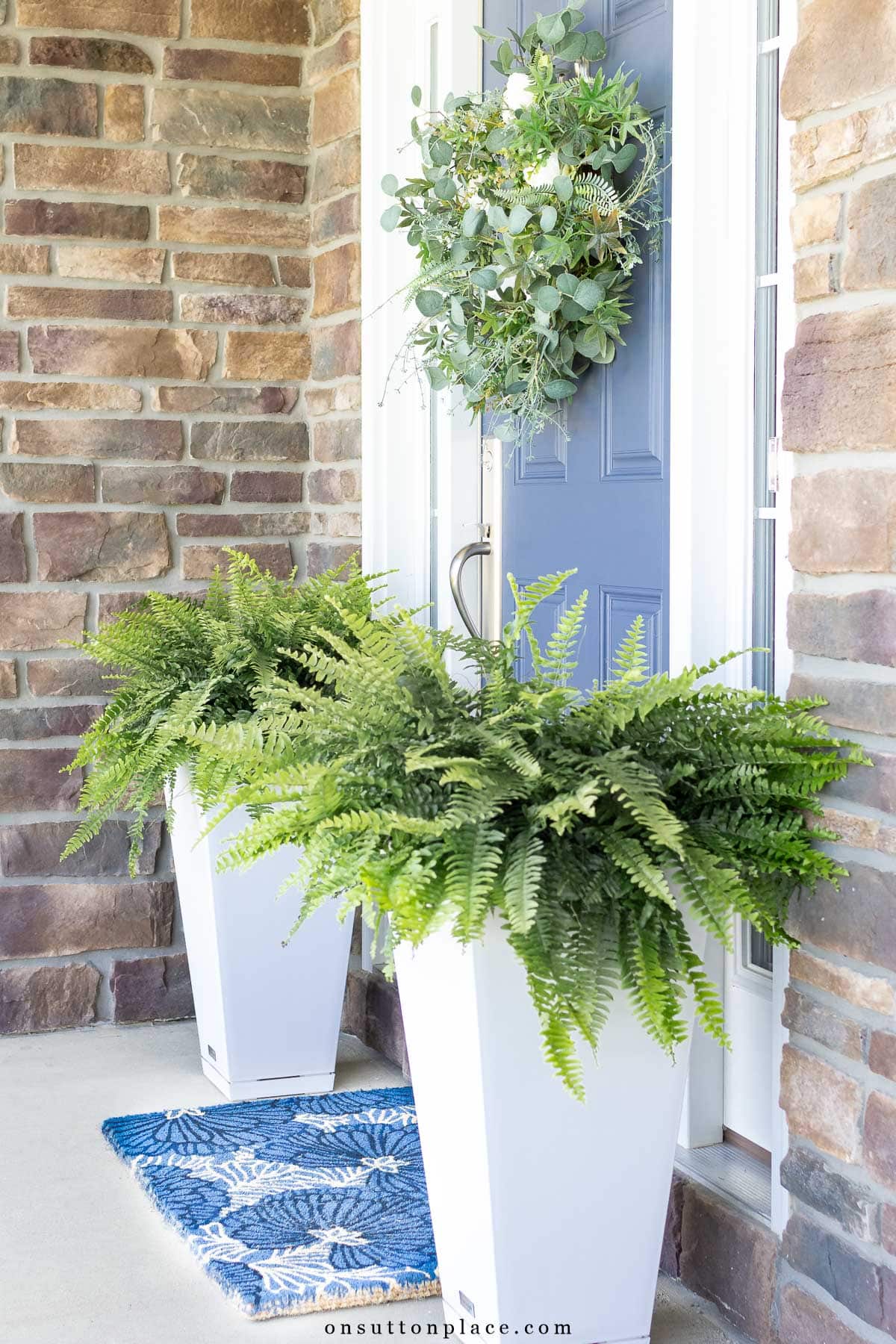 the easiest front porch planters with ferns