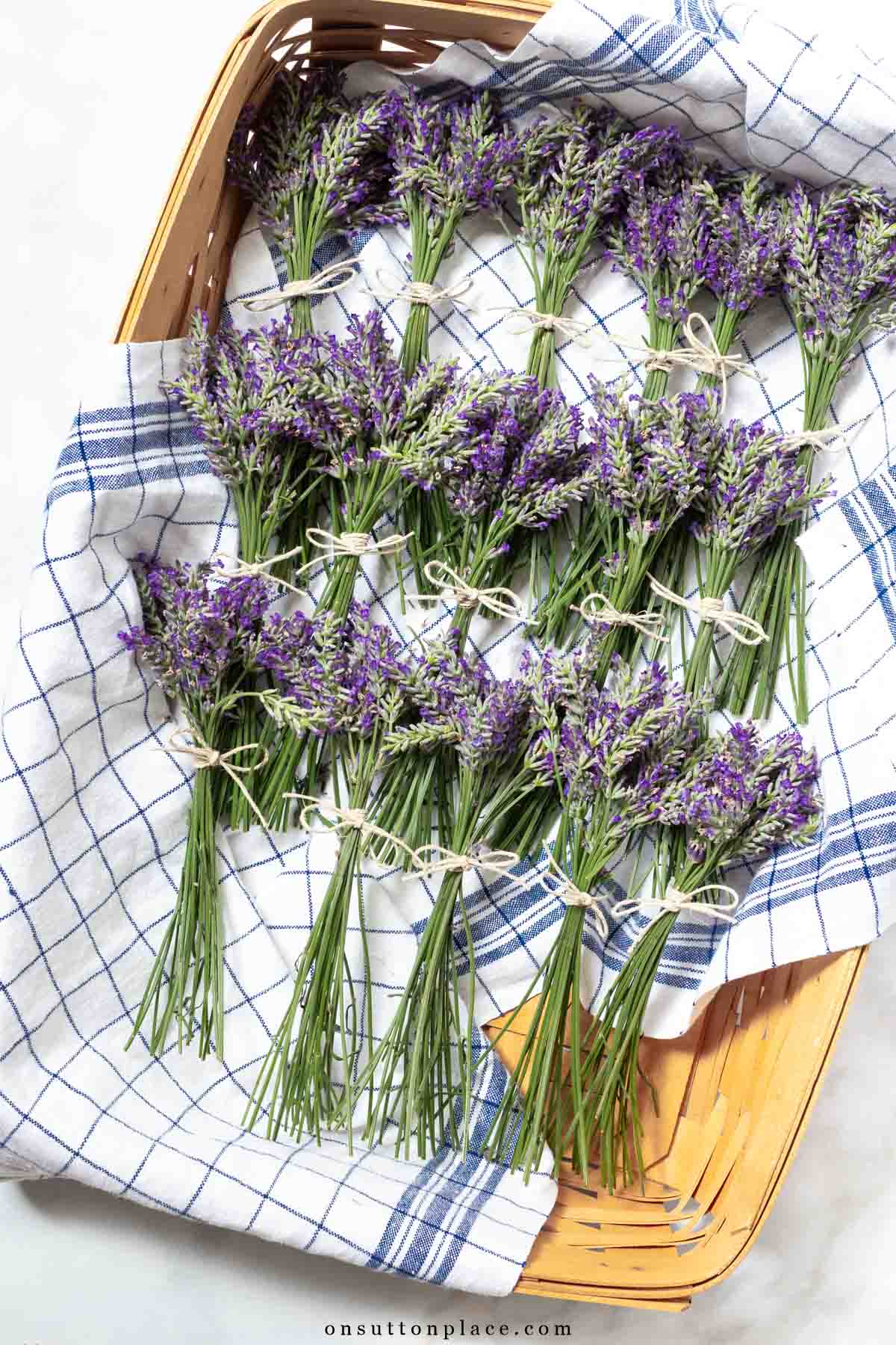 bunches of lavender tied with twine in a large basket 2025